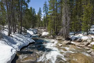 20954 Donner Pass Rd, Soda Springs, CA 95728 - Photo 1