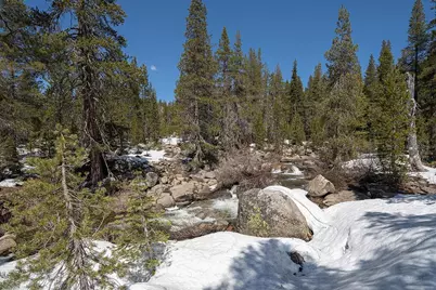 20954 Donner Pass Road, Soda Springs, CA 95728 - Photo 13