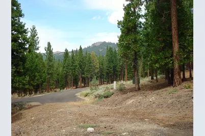 307 Big Cedar Lane, Portola, CA 96122 - Photo 3