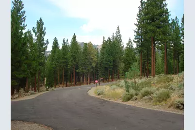 307 Big Cedar Lane, Portola, CA 96122 - Photo 9