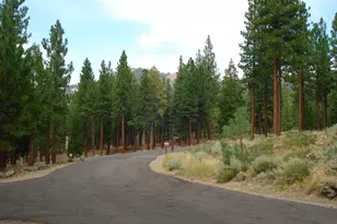 307 Big Cedar Ln, Portola, CA 96122 - Photo 9