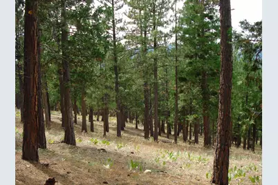 307 Big Cedar Lane, Portola, CA 96122 - Photo 7