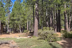 13080 Roundhill Dr, Truckee, CA 96161 - Photo 1