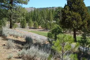 404 Blacktail Ridge, Portola, CA 96122 - Photo 3