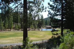 404 Blacktail Ridge, Portola, CA 96122 - Photo 7