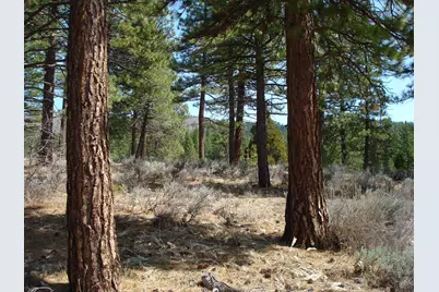 404 Blacktail Ridge, Portola, CA 96122 - Photo 5