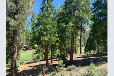 2066 Grizzly Ranch Road, Portola, CA 96122 - Photo 3