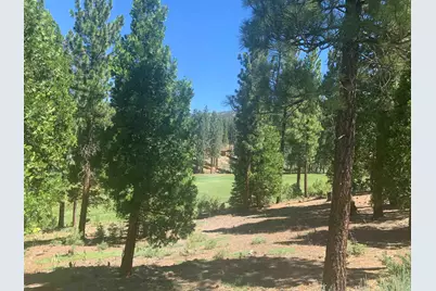 2104 Grizzly Ranch Road, Portola, CA 96122 - Photo 3