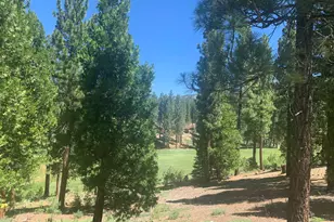 2104 Grizzly Ranch Rd, Portola, CA 96122 - Photo 1