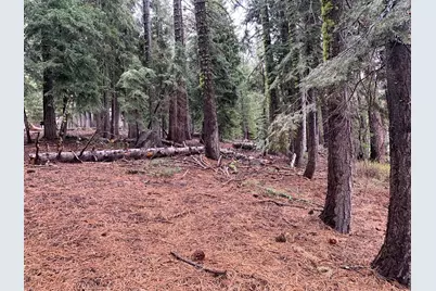 4038 Courchevel Road, Tahoe City, CA 96145 - Photo 7