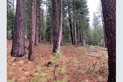 4038 Courchevel Road, Tahoe City, CA 96145 - Photo 3