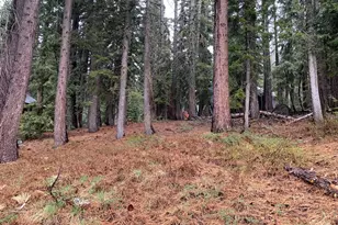 4036 Courchevel Rd, Tahoe City, CA 96145 - Photo 1