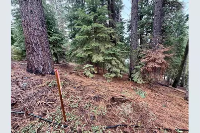 970 Ward Creek Blvd, Tahoe City, CA 96145 - Photo 9