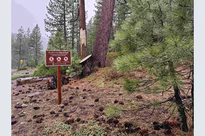 970 Ward Creek Blvd, Tahoe City, CA 96145 - Photo 3