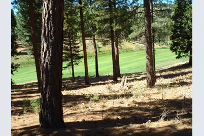 139 Bird Of Prey Lane, Portola, CA 96122 - Photo 3