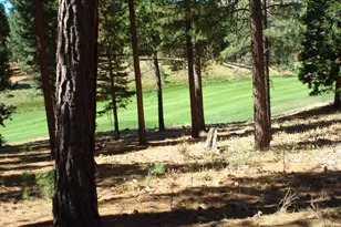 139 Bird of Prey Ln, Portola, CA 96122 - Photo 3