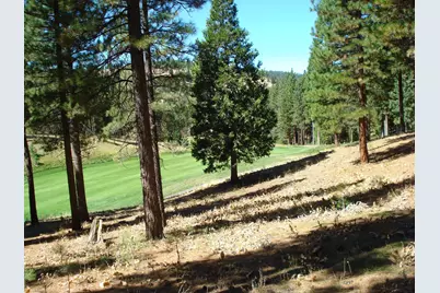 139 Bird Of Prey Lane, Portola, CA 96122 - Photo 5