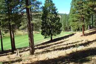 139 Bird of Prey Ln, Portola, CA 96122 - Photo 5