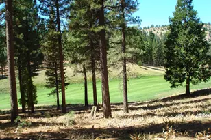 139 Bird of Prey Ln, Portola, CA 96122 - Photo 1