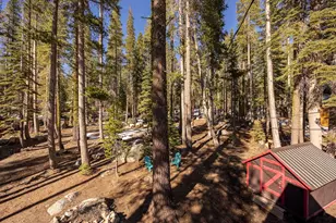 21146 Donner Pass Rd, Soda Springs, CA 95728 - Photo 21