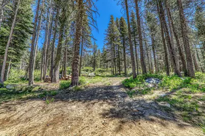 10019 Bunny Hill Road, Soda Springs, CA 95728 - Photo 13