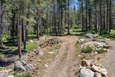 10019 Bunny Hill Road, Soda Springs, CA 95728 - Photo 3