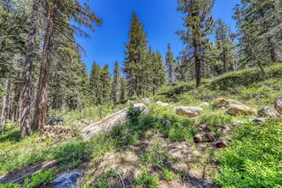 10019 Bunny Hill Road, Soda Springs, CA 95728 - Photo 17