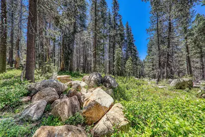 10019 Bunny Hill Road, Soda Springs, CA 95728 - Photo 23