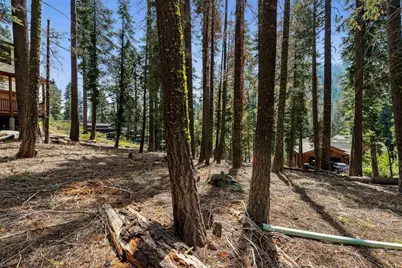 880 Sunny Drive, Homewood, CA 96141 - Photo 19