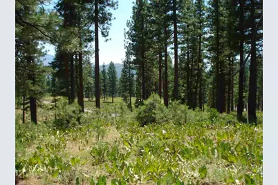 69 Blacktail Ridge, Portola, CA 96122 - Photo 3