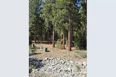 762 Blacktail Ridge, Portola, CA 96122 - Photo 3
