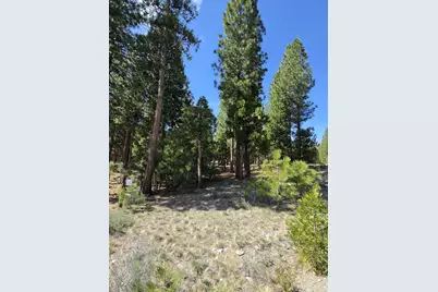 762 Blacktail Ridge, Portola, CA 96122 - Photo 5