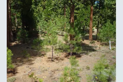 745 Blacktail Ridge, Portola, CA 96122 - Photo 5