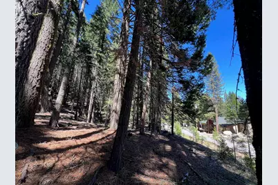 84 Yonkalla Trail, Graeagle, CA 96103 - Photo 9