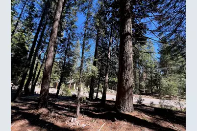 84 Yonkalla Trail, Graeagle, CA 96103 - Photo 3