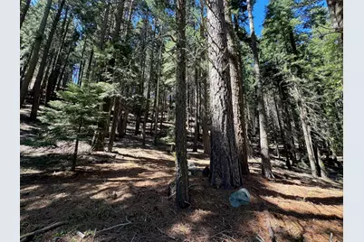 84 Yonkalla Trail, Graeagle, CA 96103 - Photo 7