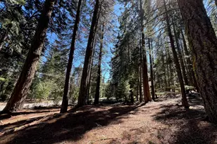 84 Yonkalla Trail, Graeagle, CA 96103 - Photo 1