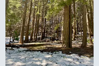 84 Yonkalla Trail, Graeagle, CA 96103 - Photo 19