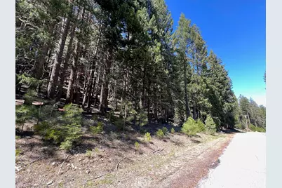 84 Yonkalla Trail, Graeagle, CA 96103 - Photo 5