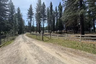 4678 Portola McLears Rd, Portola, CA 96122 - Photo 3