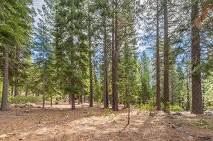 11975 Brookstone Dr, Truckee, CA 96161 - Photo 7