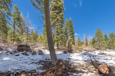 51337 Jeffery Pine Drive, Soda Springs, CA 95728 - Photo 19