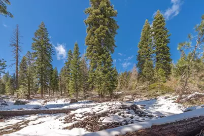 51337 Jeffery Pine Drive, Soda Springs, CA 95728 - Photo 17