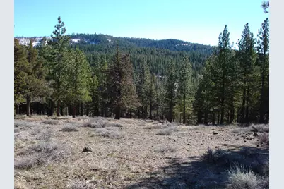 463 Quail Run, Portola, CA 96122 - Photo 5