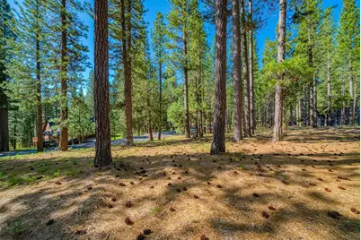 266 Boulder Drive, Clio, CA 96106 - Photo 7
