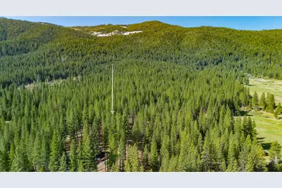 266 Boulder Drive, Clio, CA 96106 - Photo 15