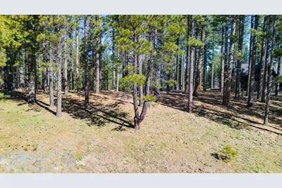 266 Boulder Drive, Clio, CA 96106 - Photo 9