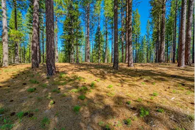 266 Boulder Drive, Clio, CA 96106 - Photo 3