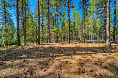 266 Boulder Drive, Clio, CA 96106 - Photo 5