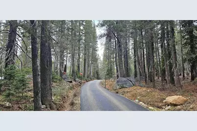 10060 Bunny Hill Road, Soda Springs, CA 95728 - Photo 7